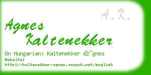 agnes kaltenekker business card